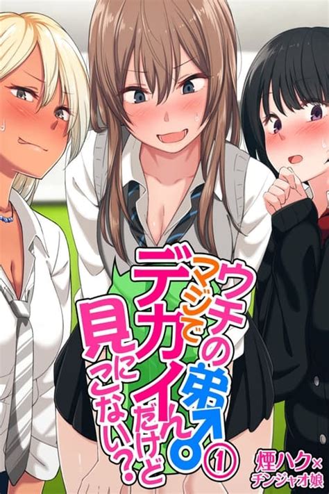 uchi no otouto maji de dekain dakedo mi ni konai|Uchi no Otouto Maji de Dekain Dakedo Mi ni Konai Latino 02 .